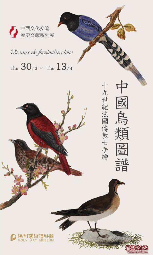 19世纪手绘中国鸟类图谱